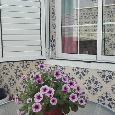 Casa Encantadora Centrica Holiday home